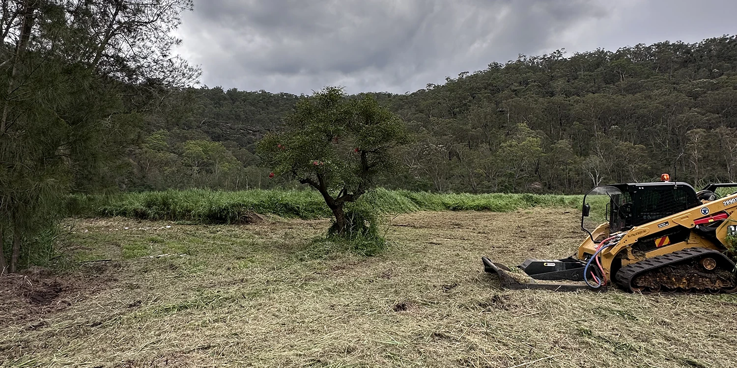 Paddock slashing NSW Hawkesbury Sea Land Solutions